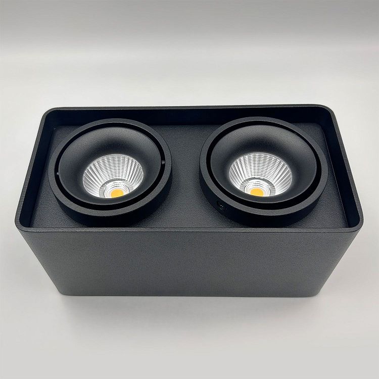 Skarlat RSLC78005 2*10W BK 4000K