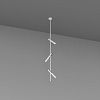 Skarlat  RSL74248-3 3x7W WH+BK 4000K