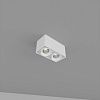 Skarlat RSLC78005 2*10W WH 4000K