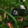Skarlat ROL72036-M 12W BK 4000K-2